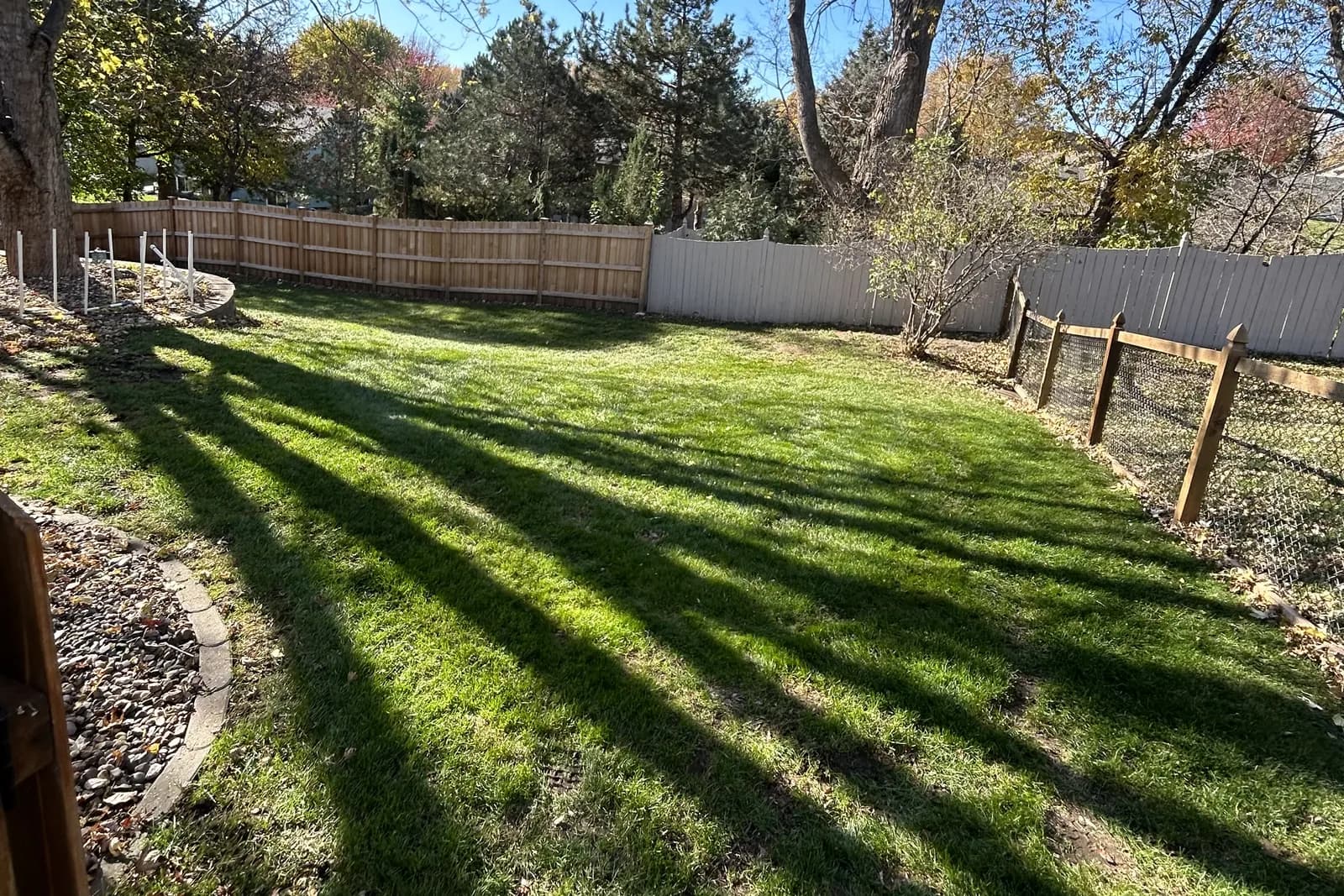 Back lawn cleared of leaves after a fall cleanup