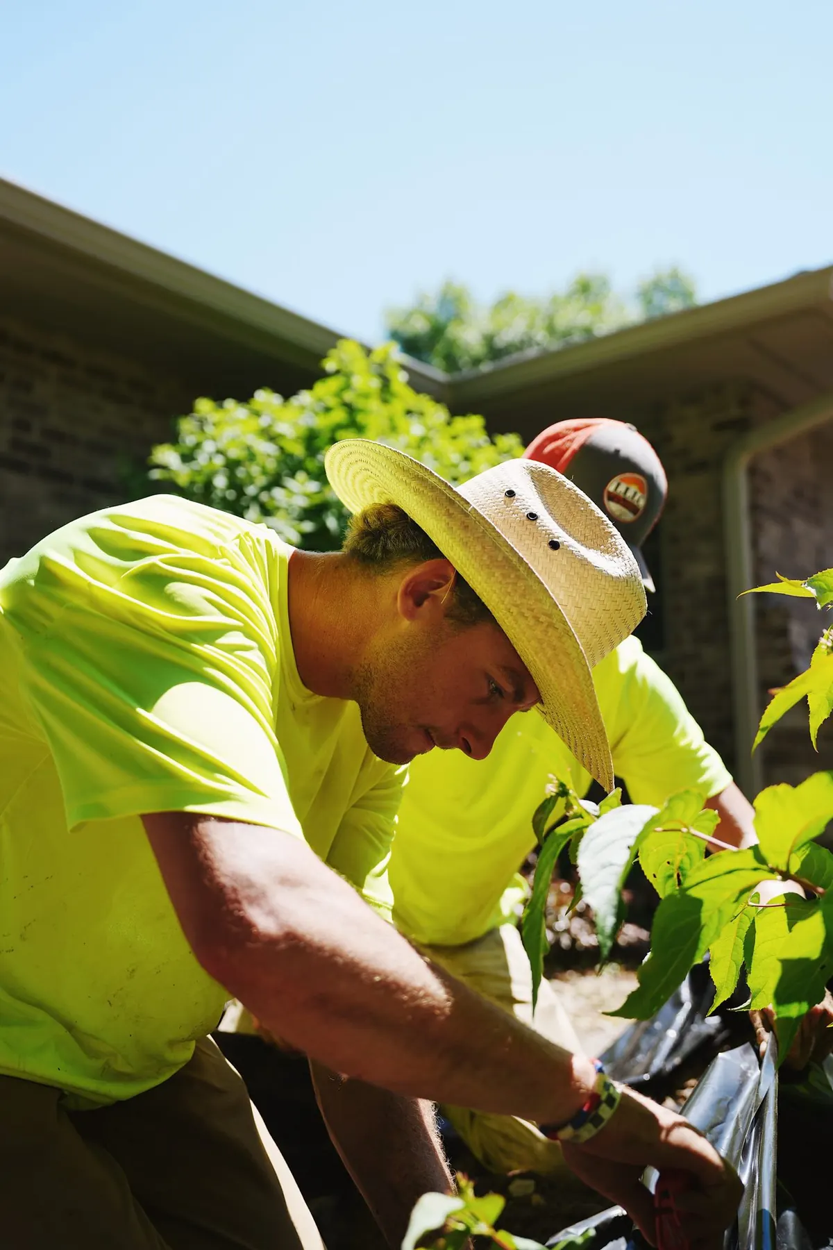 Planting shrubs by hand