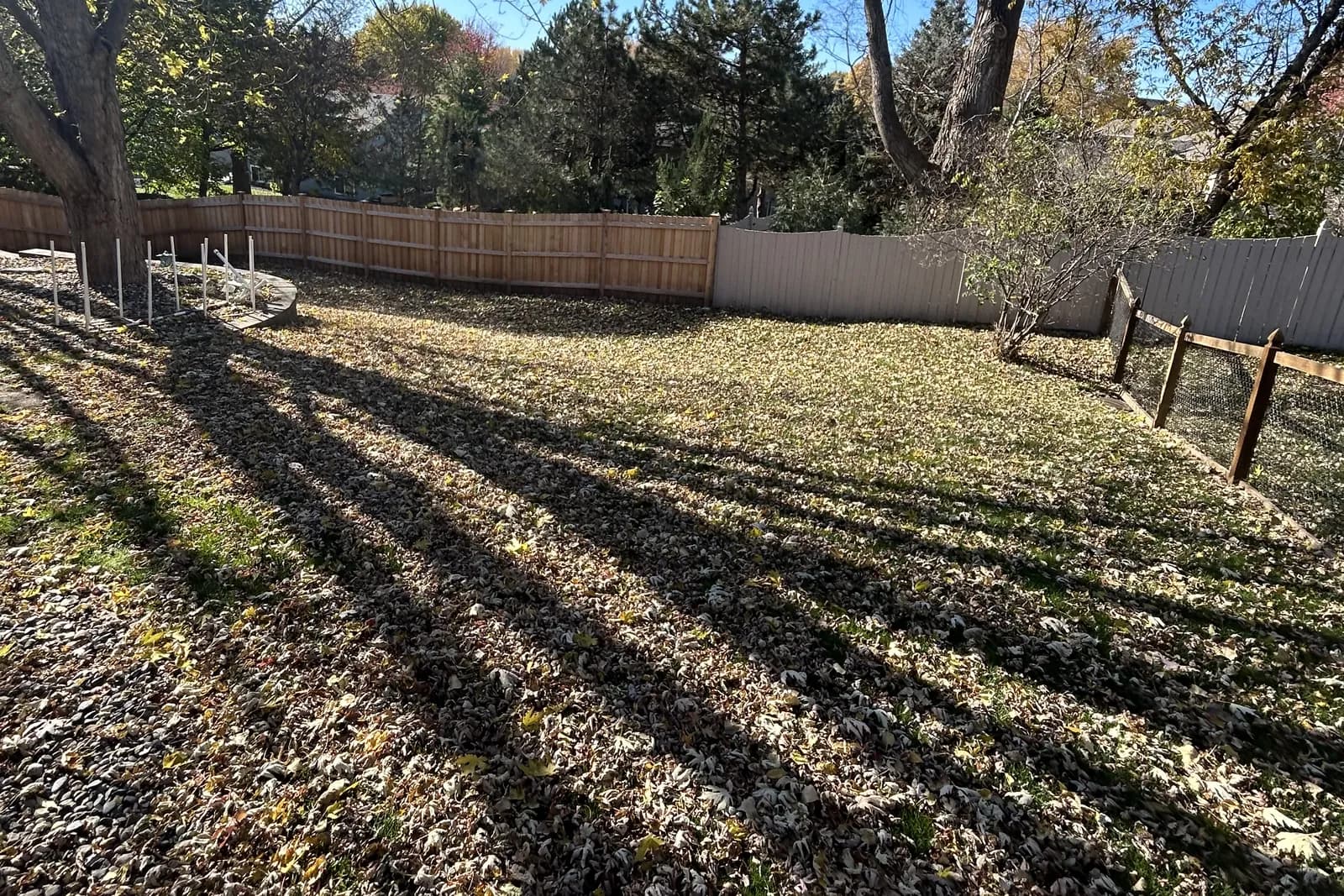 Fall cleanup back yard before