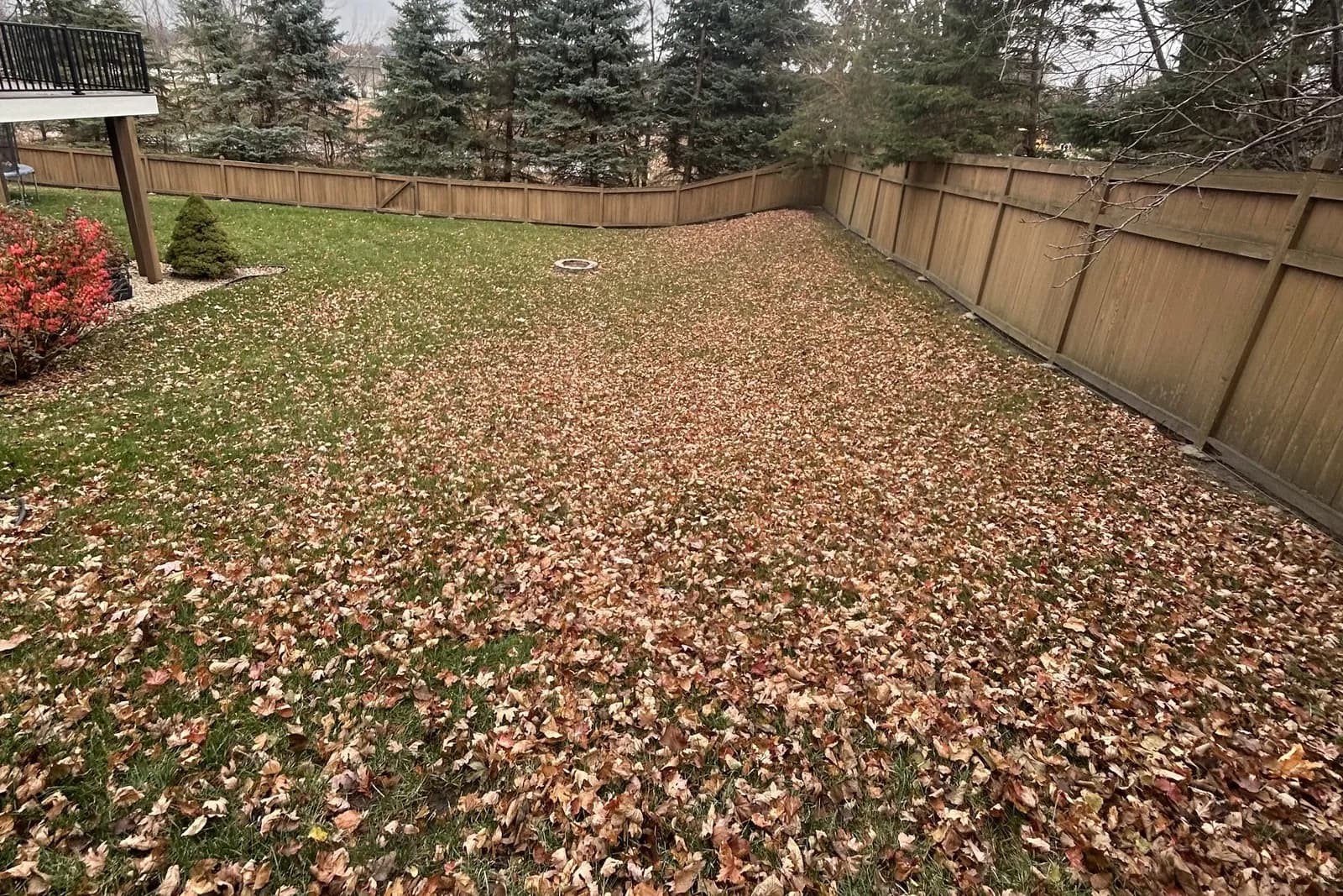 Fall cleanup fence line before