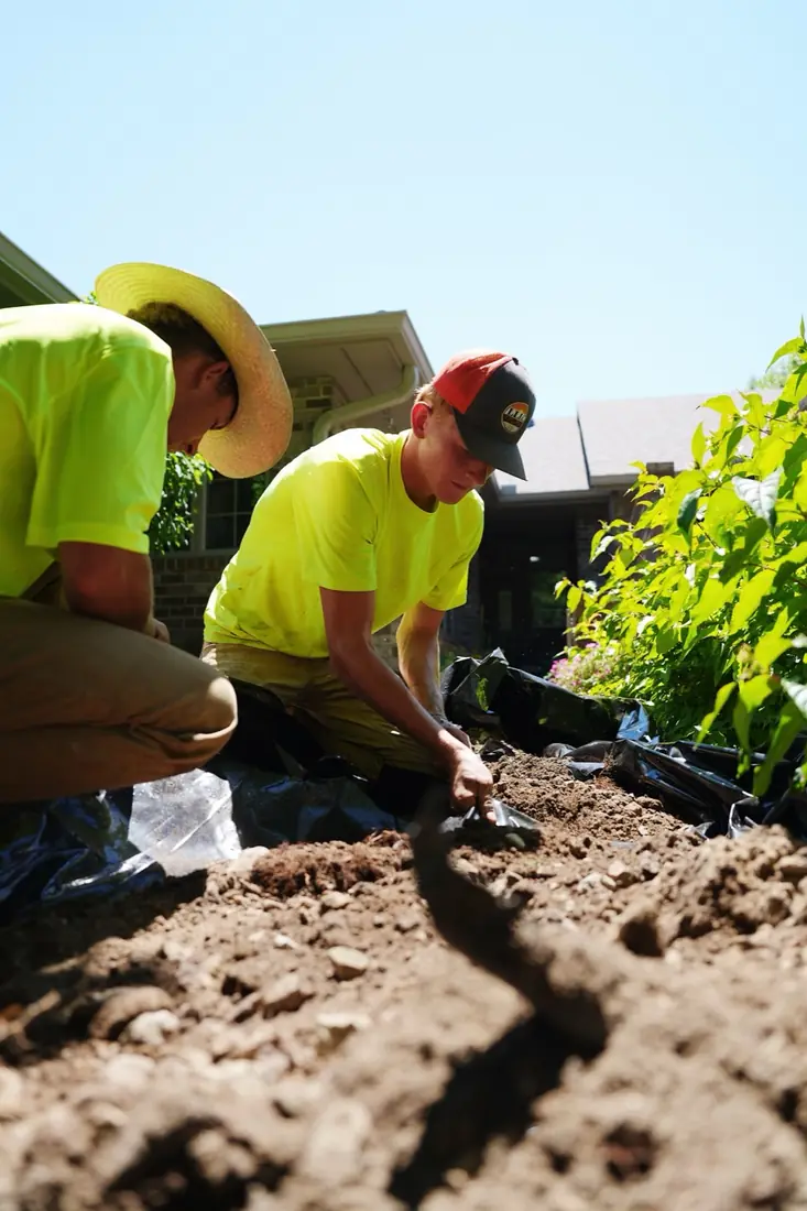 Hand planting into fresh soil
