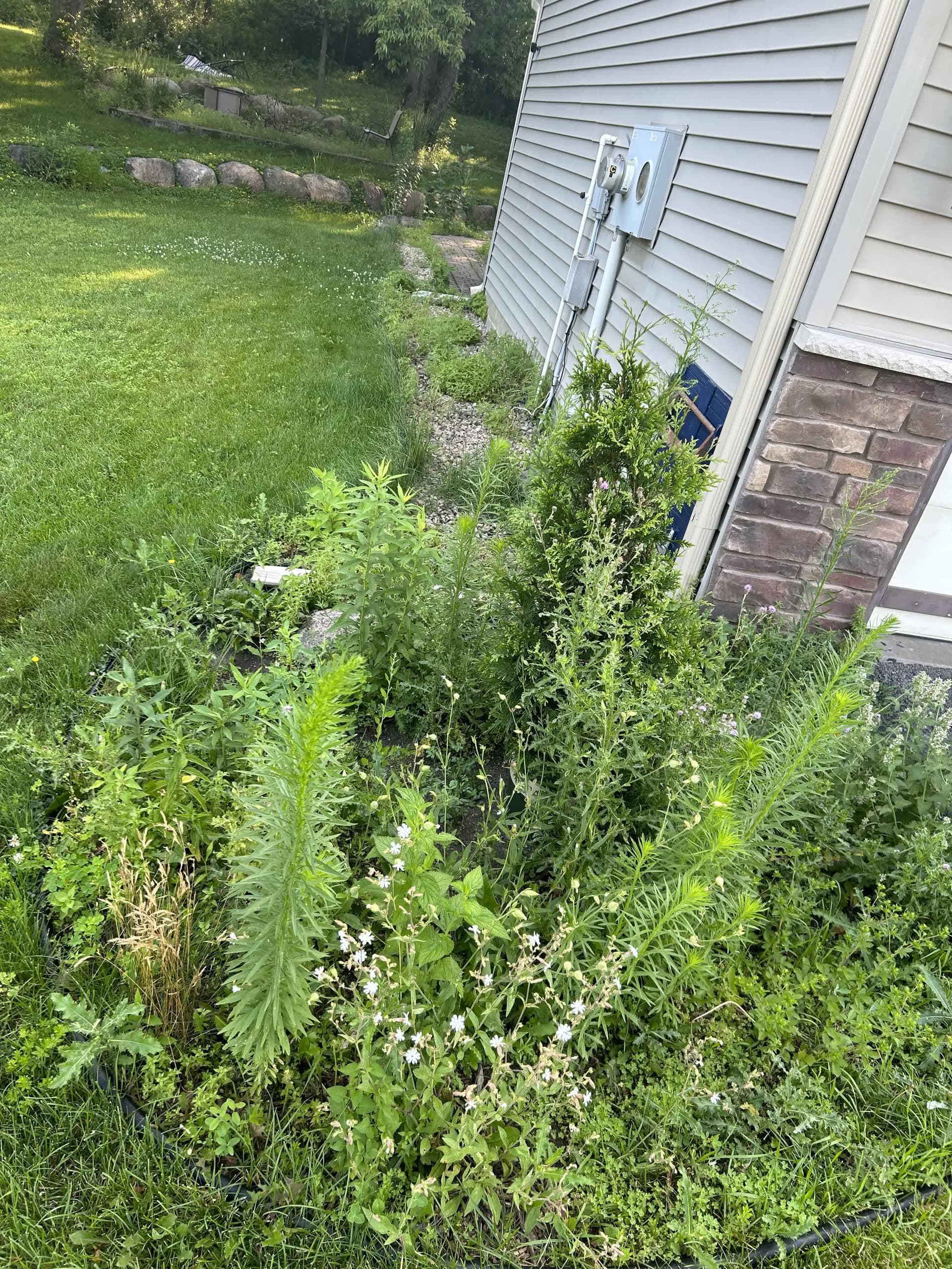 Corner bed before renovation